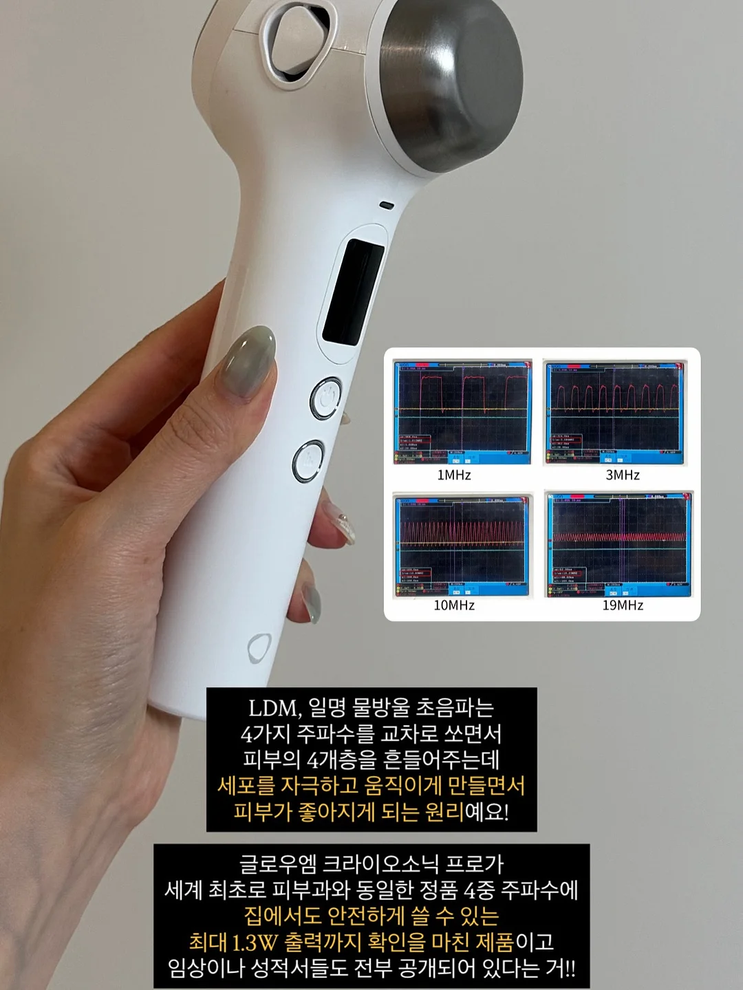 하얀풍차 망고단지 케이크 4