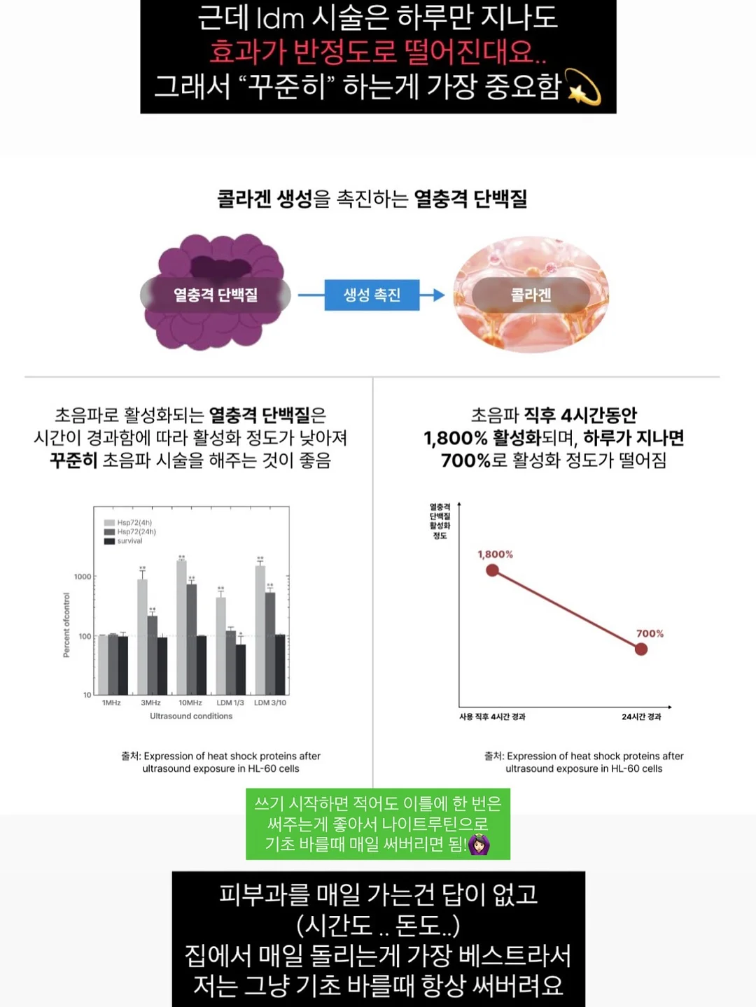 하얀풍차 망고단지 케이크 5
