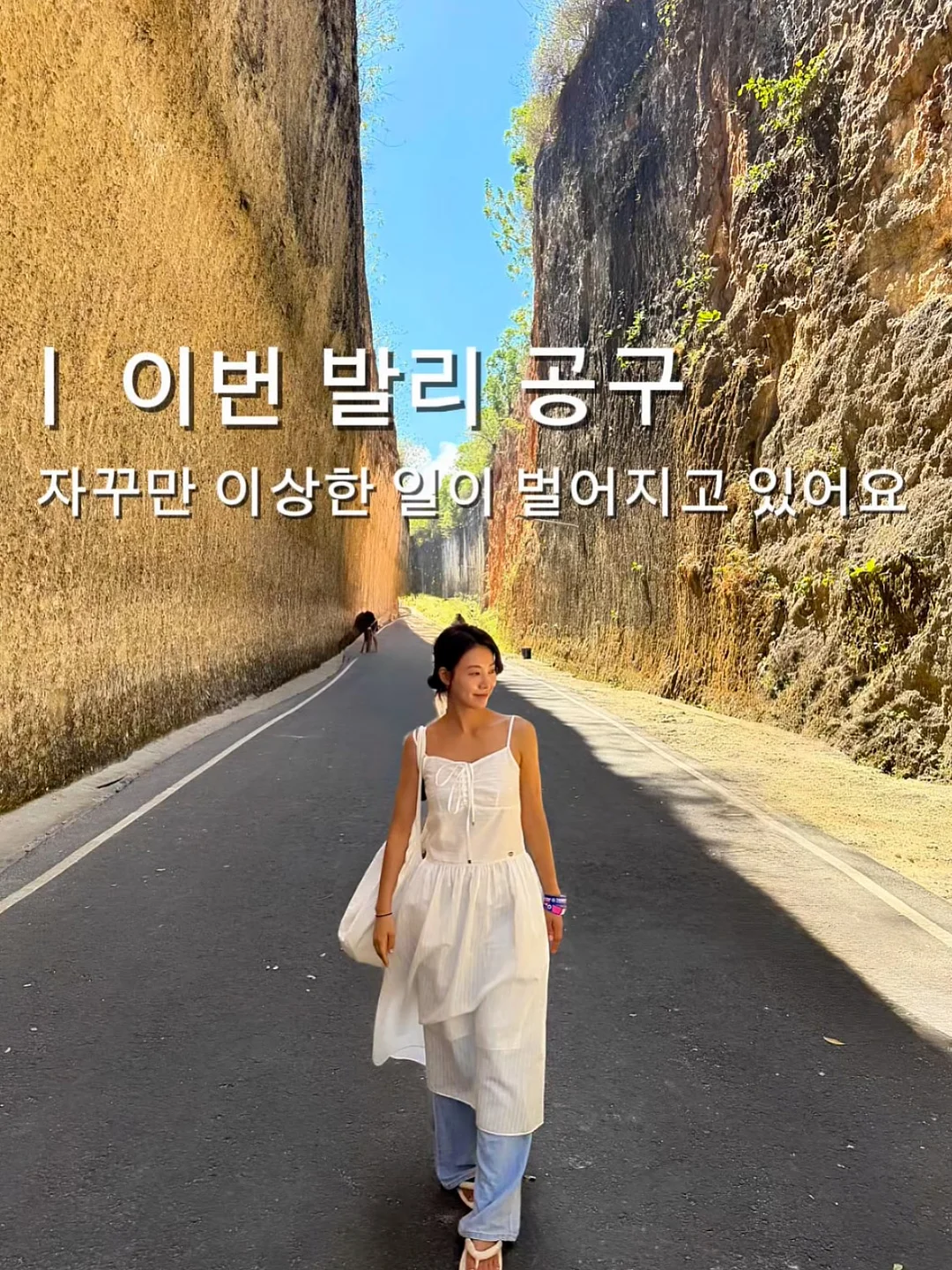 계룡산 묵사랑 도토리묵 1
