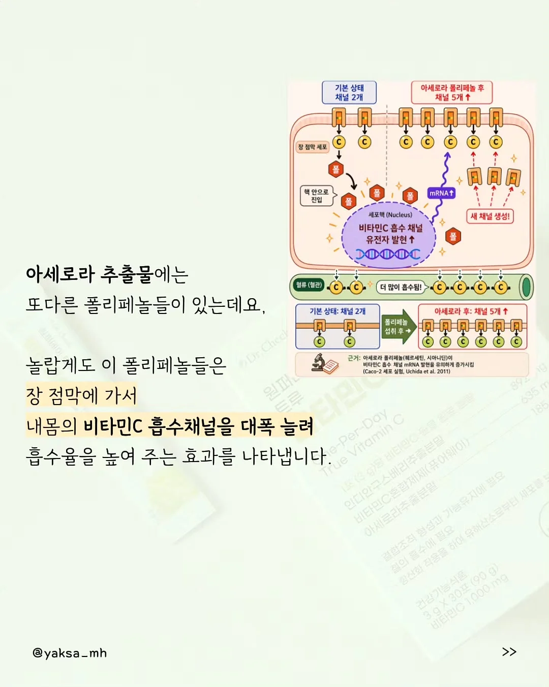 노을멜론 8