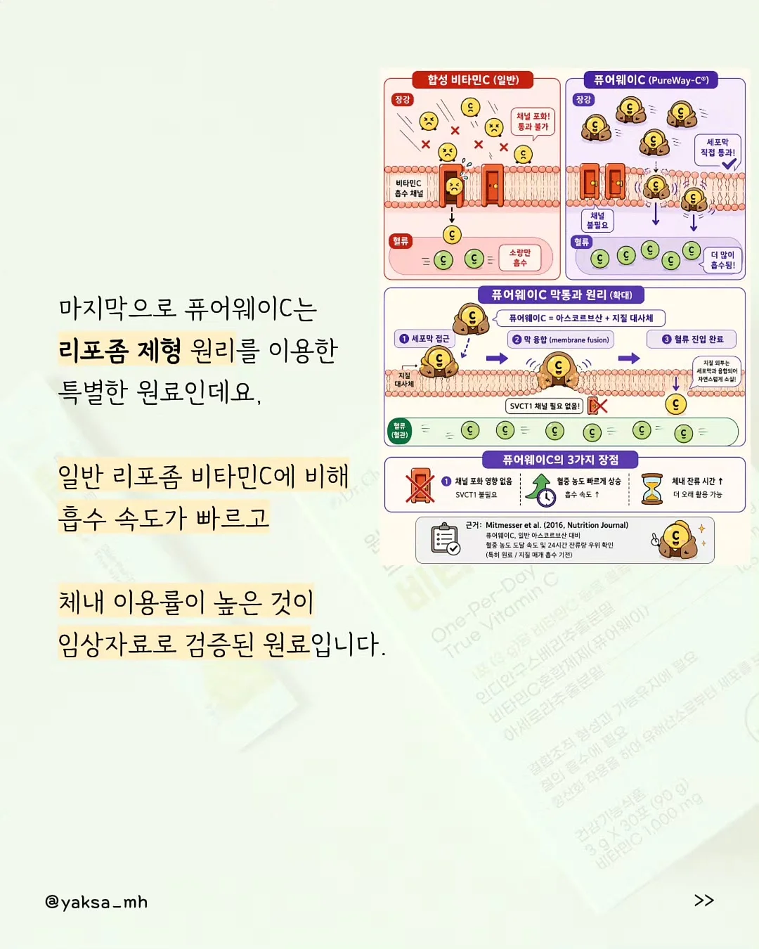 노을멜론 9
