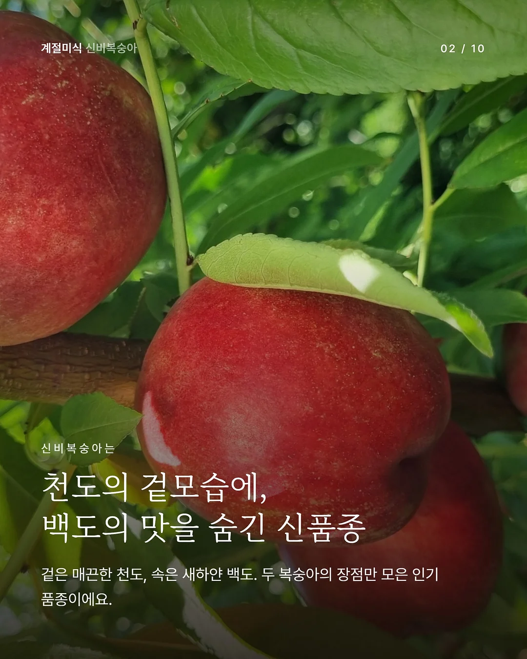 온라인 베이킹 클래스 2