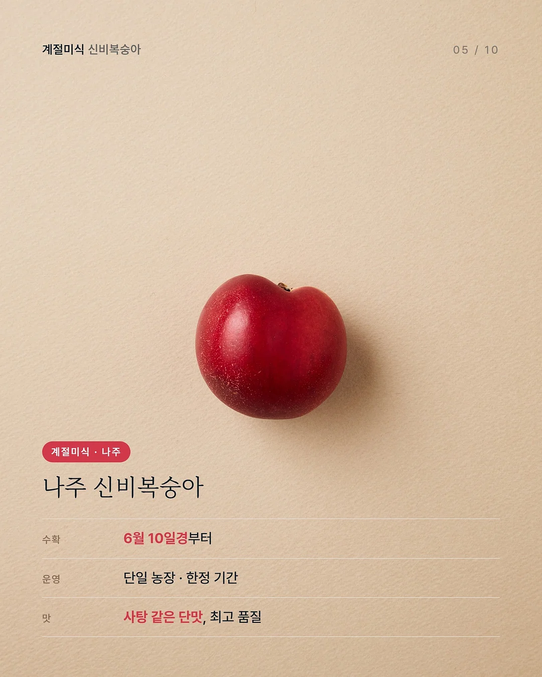 온라인 베이킹 클래스 5