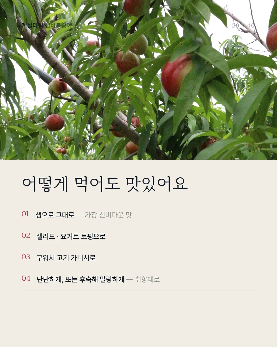 온라인 베이킹 클래스 9