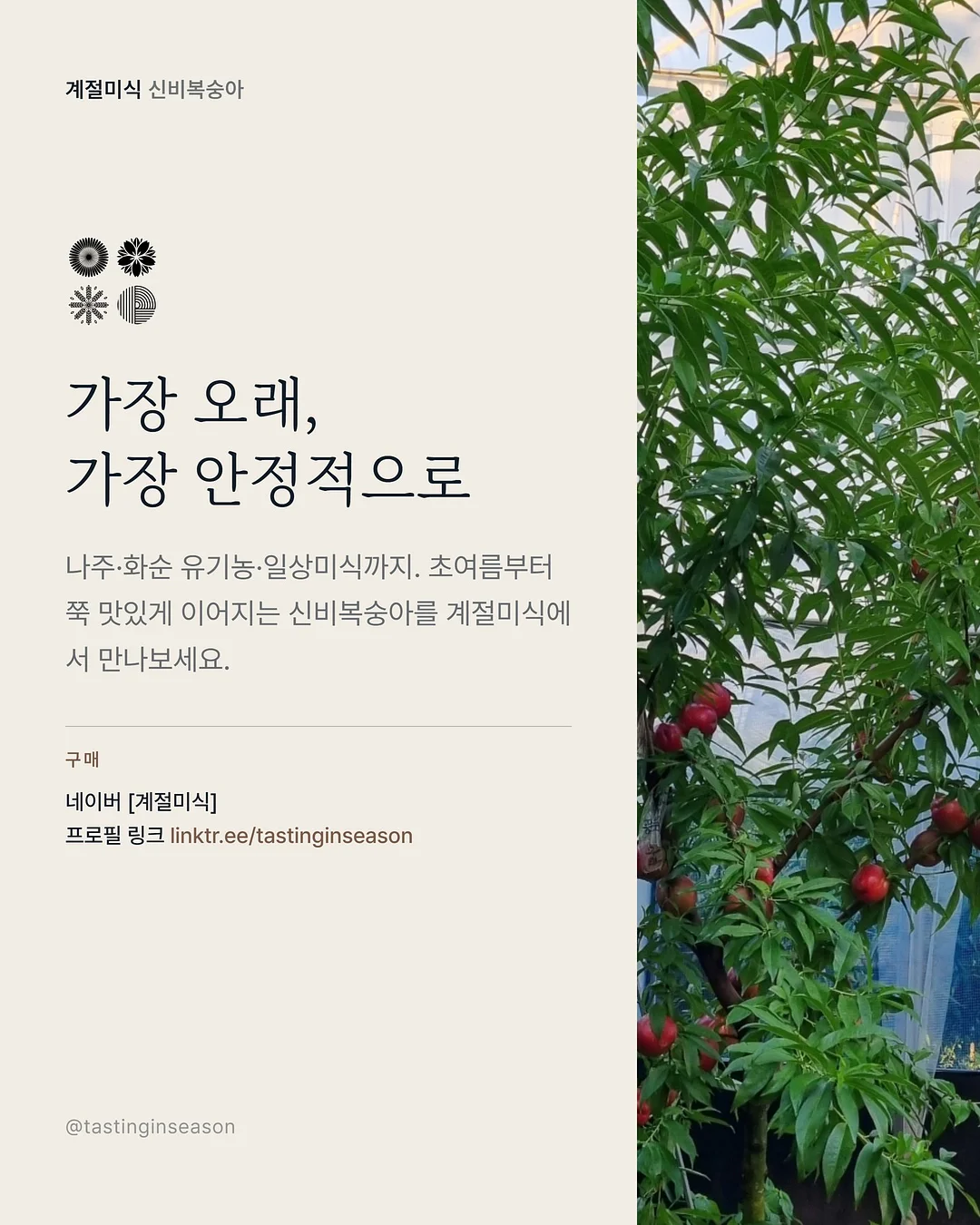 온라인 베이킹 클래스 10
