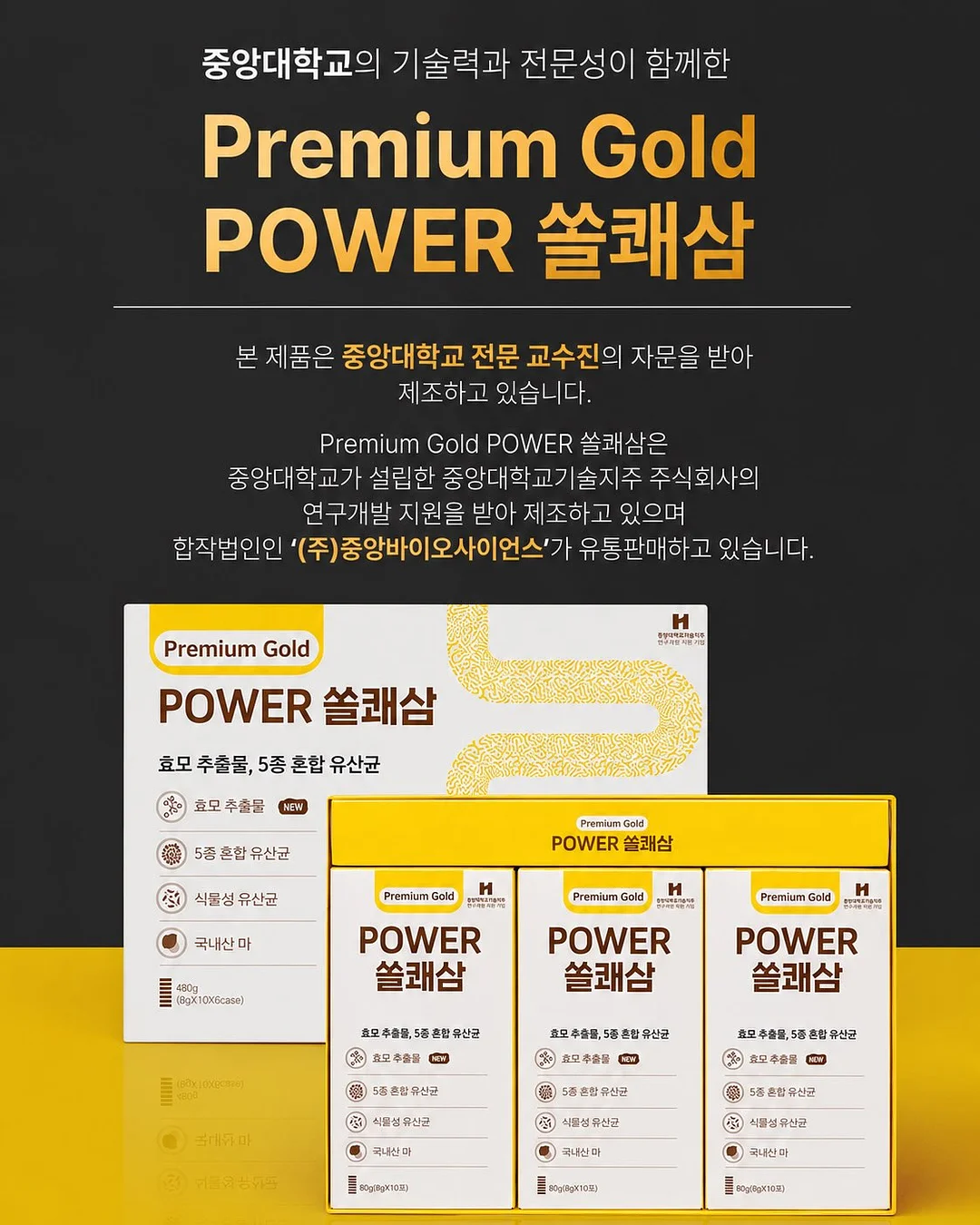 로이첸 스텐 그릭요거트 메이커 & 유청분리기 2