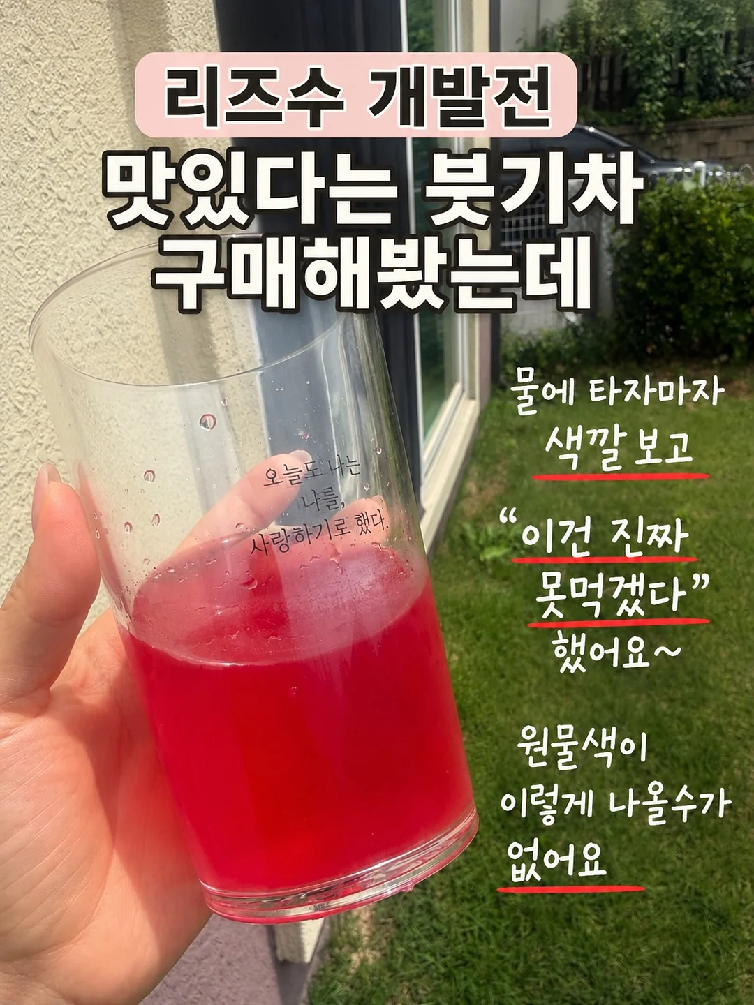 체리 씨 제거기 3