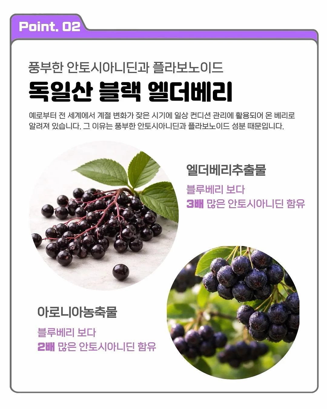 토퍼 4