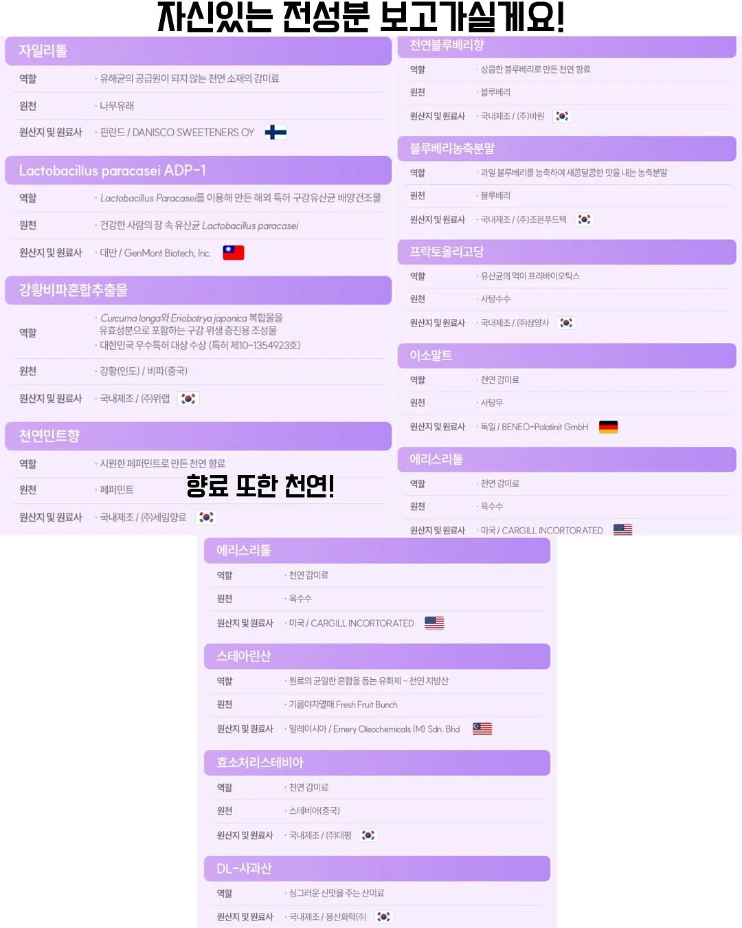 스파트필름 13