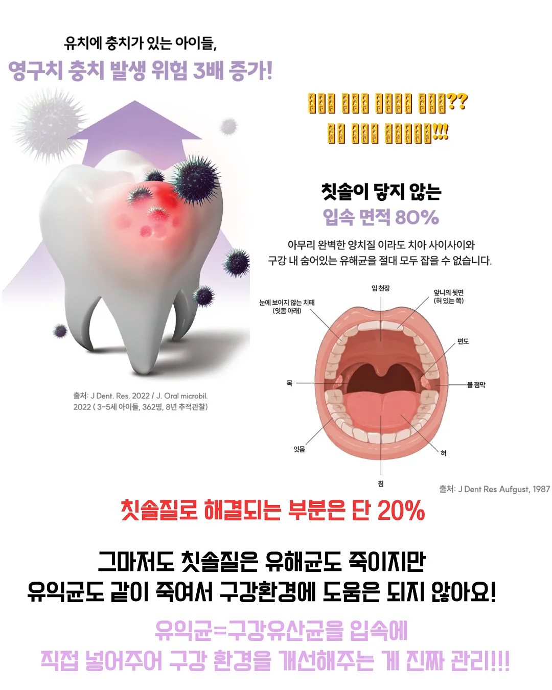 스파트필름 3