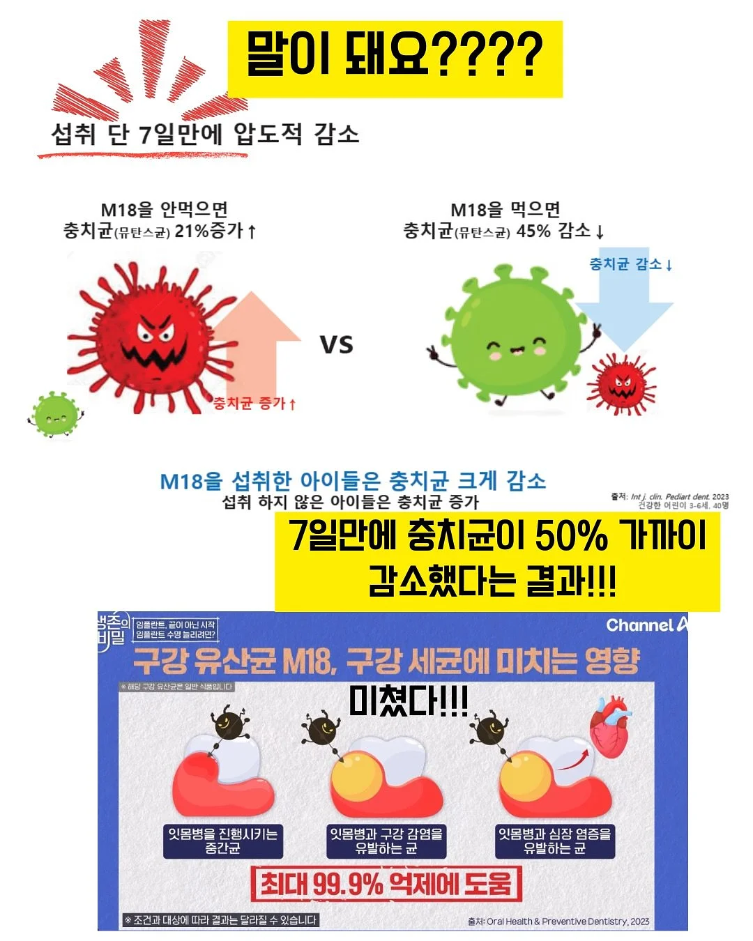 스파트필름 4