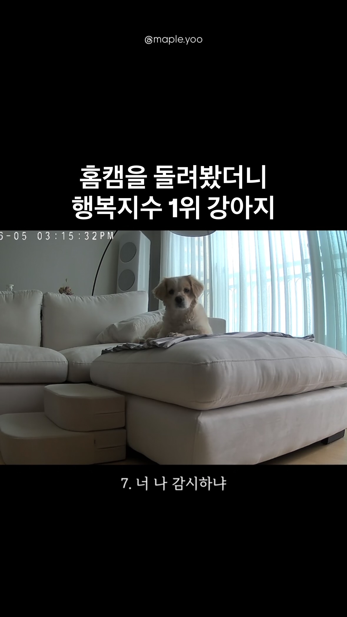 사선 디테일 슬리브리스