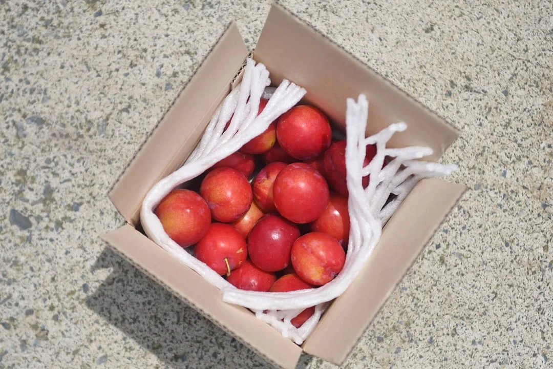 백일떡케이크 2