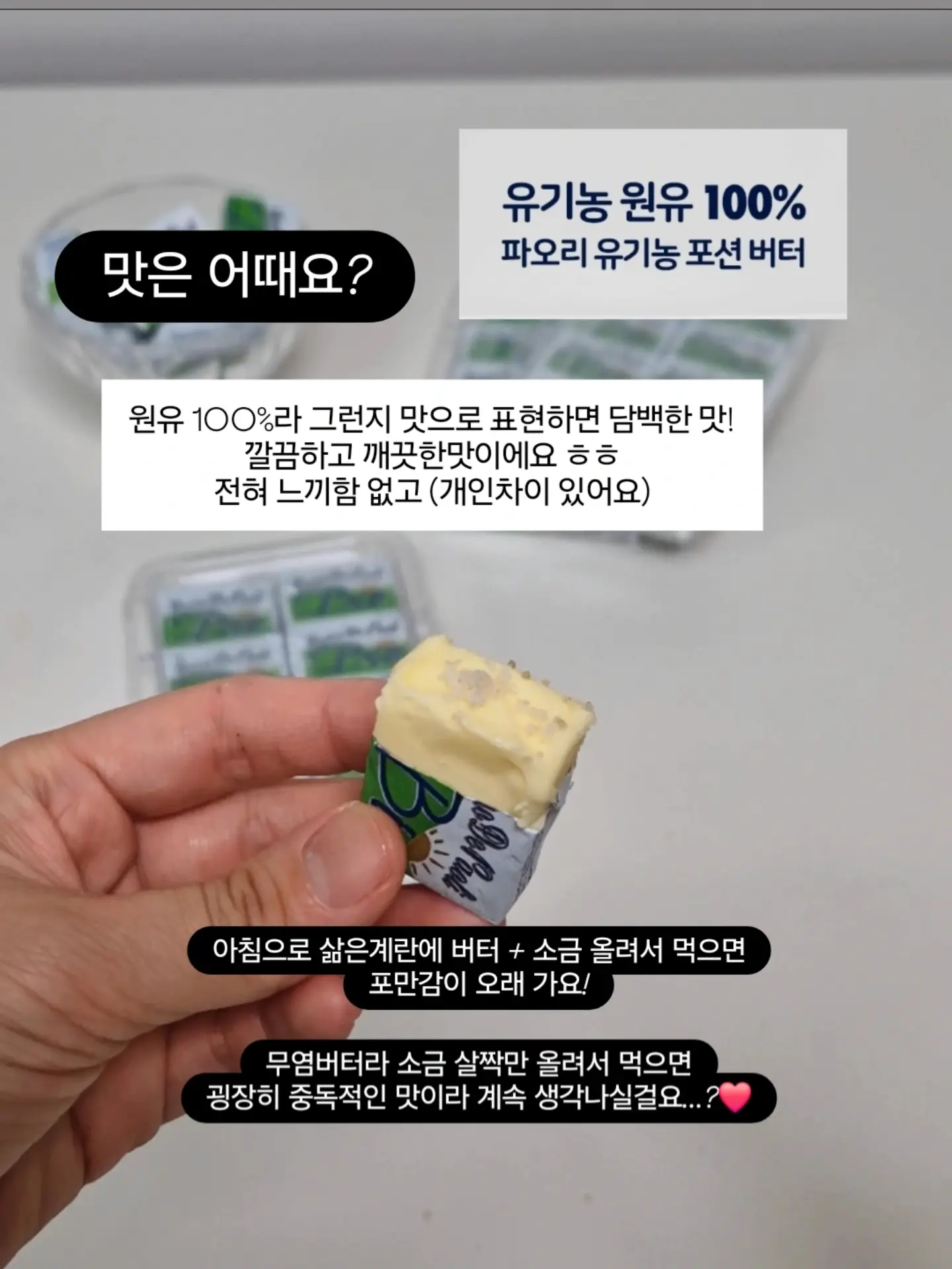 다운핏 17