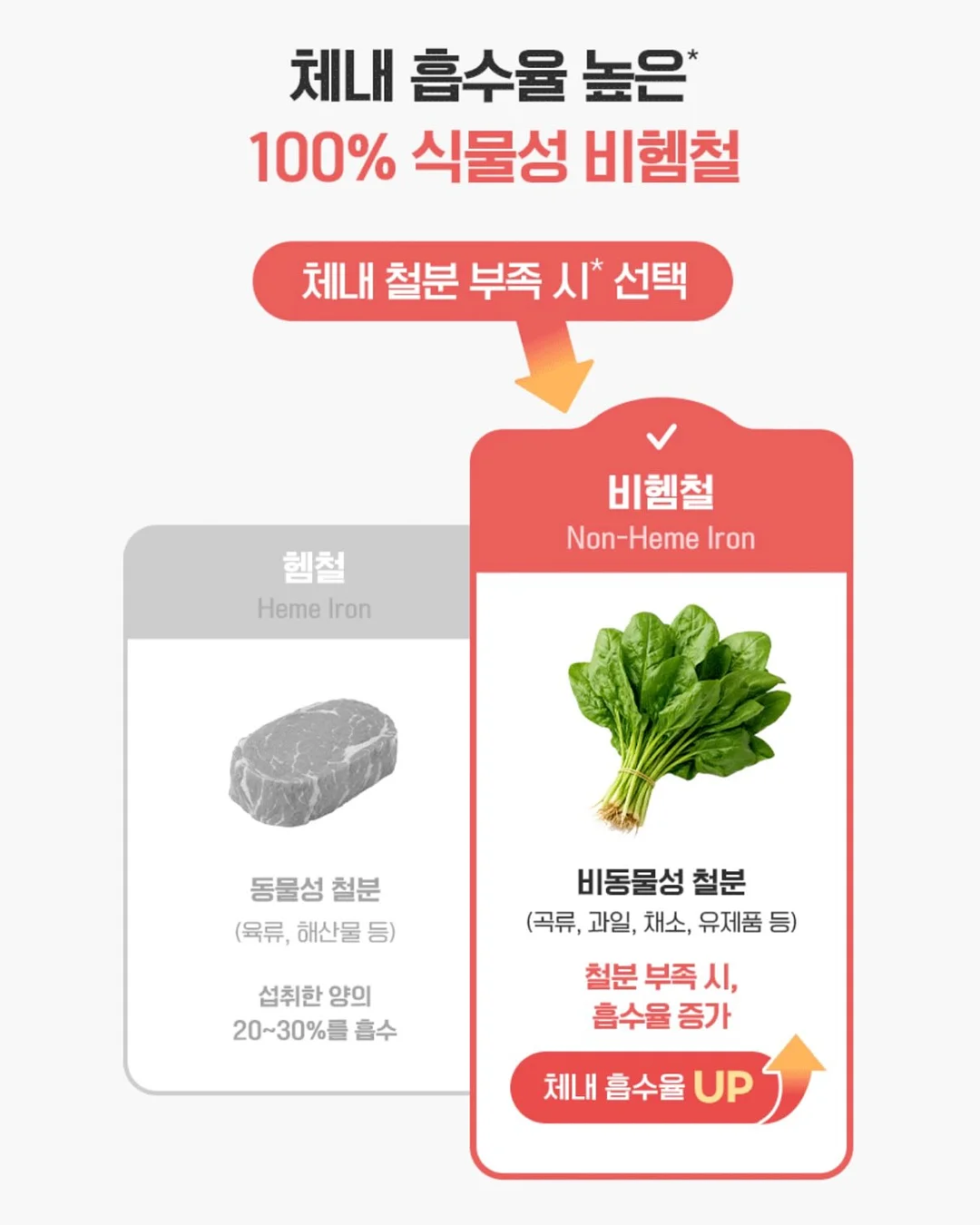 아이스 과일 고쟁이 19
