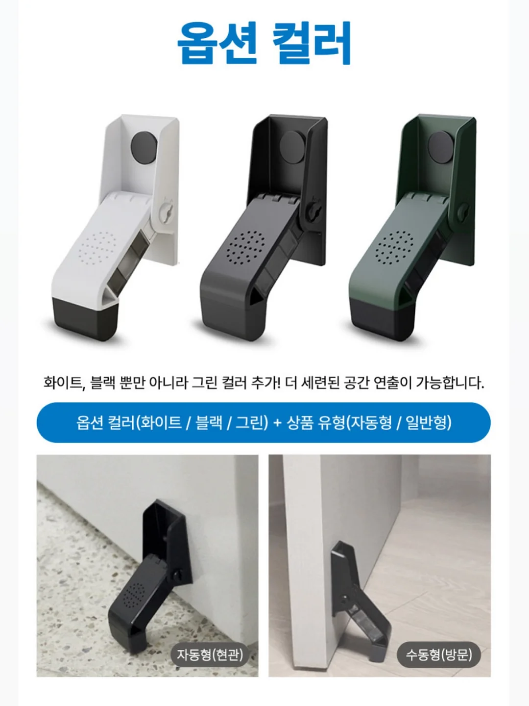 블루베리 17