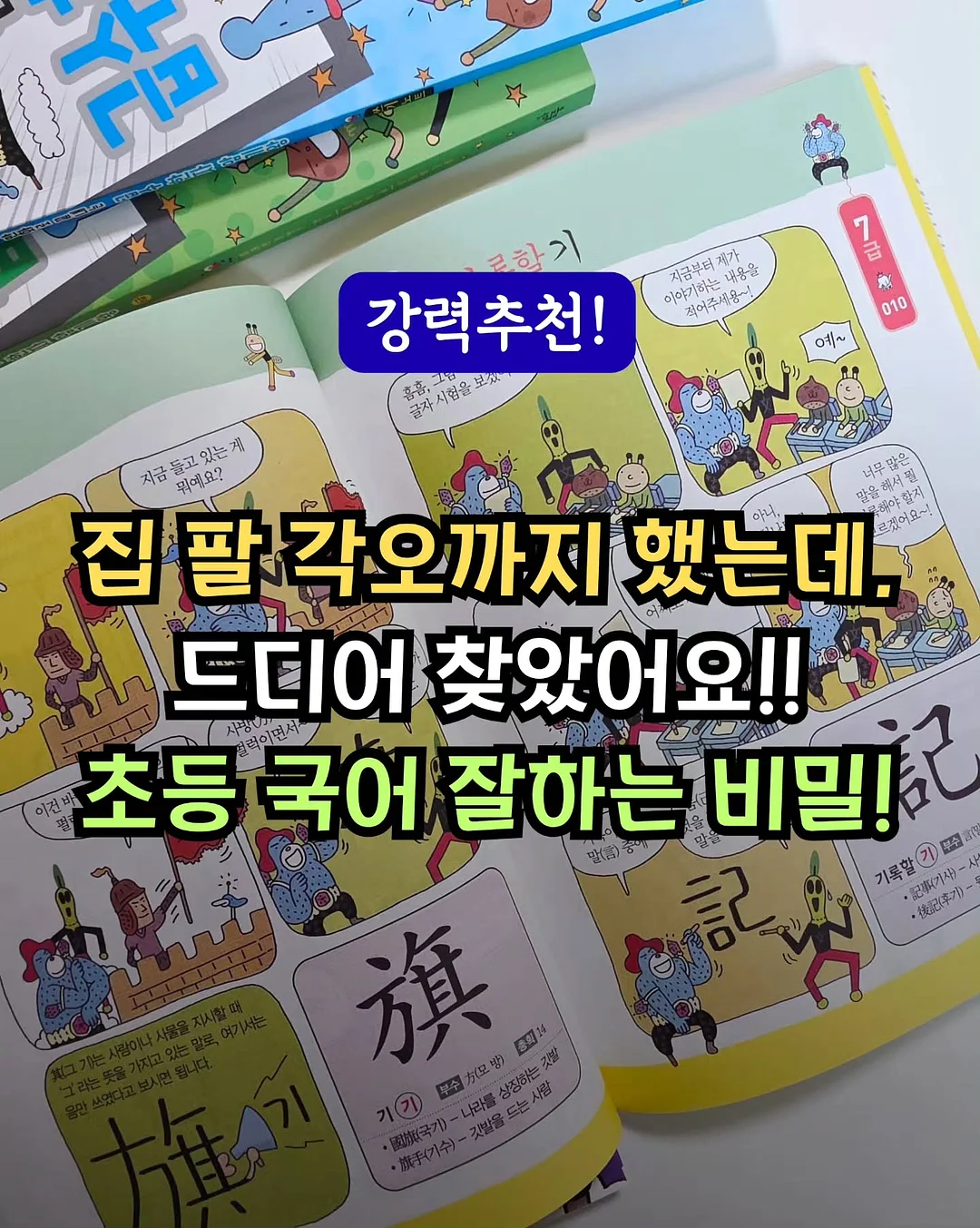 고운 임시보호/입양 1