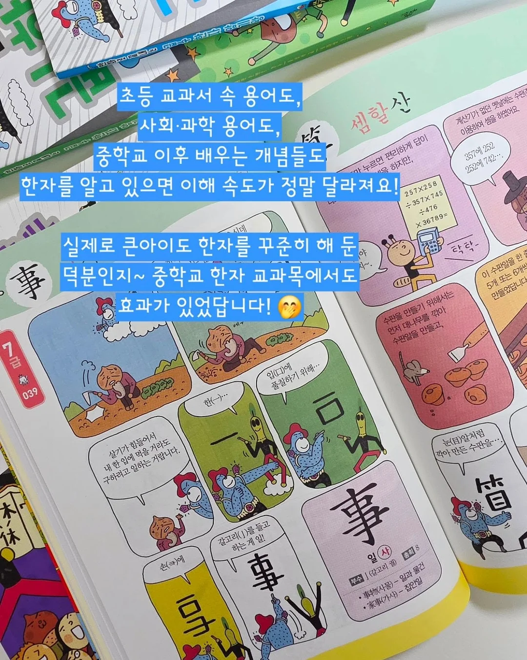 고운 임시보호/입양 13