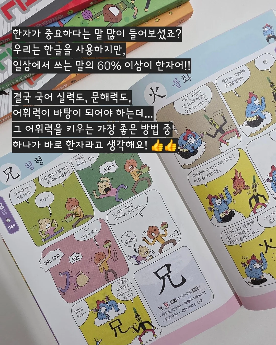 고운 임시보호/입양 3