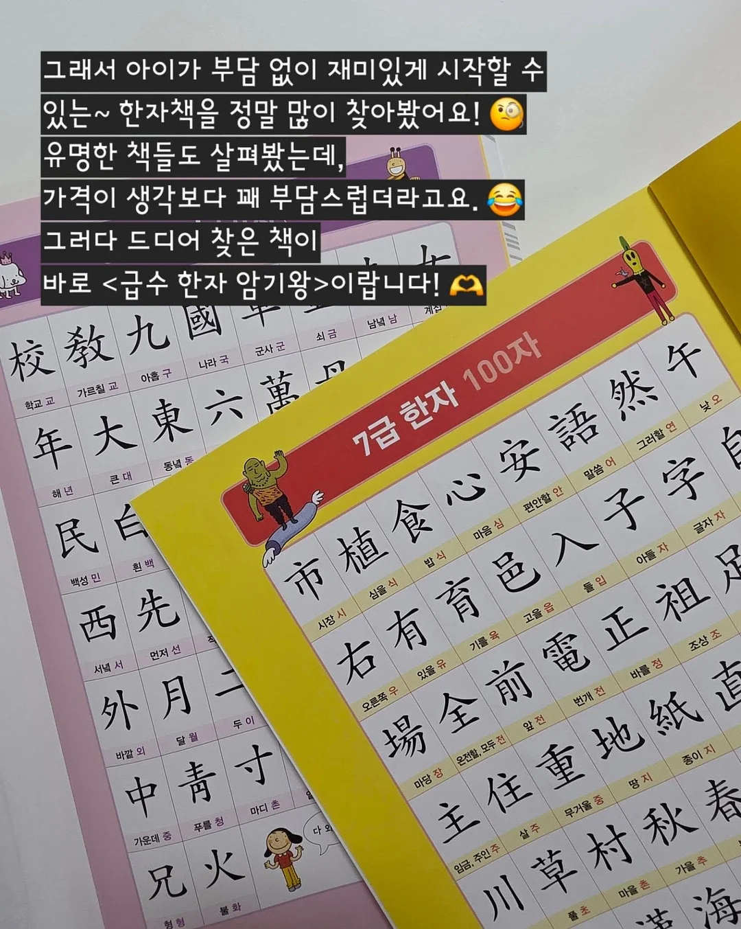 고운 임시보호/입양 4