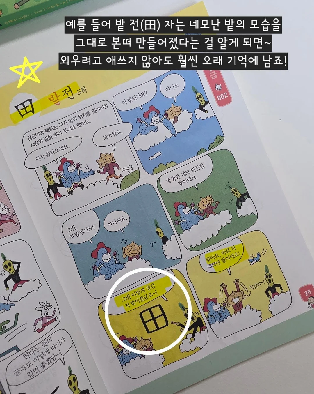 고운 임시보호/입양 6