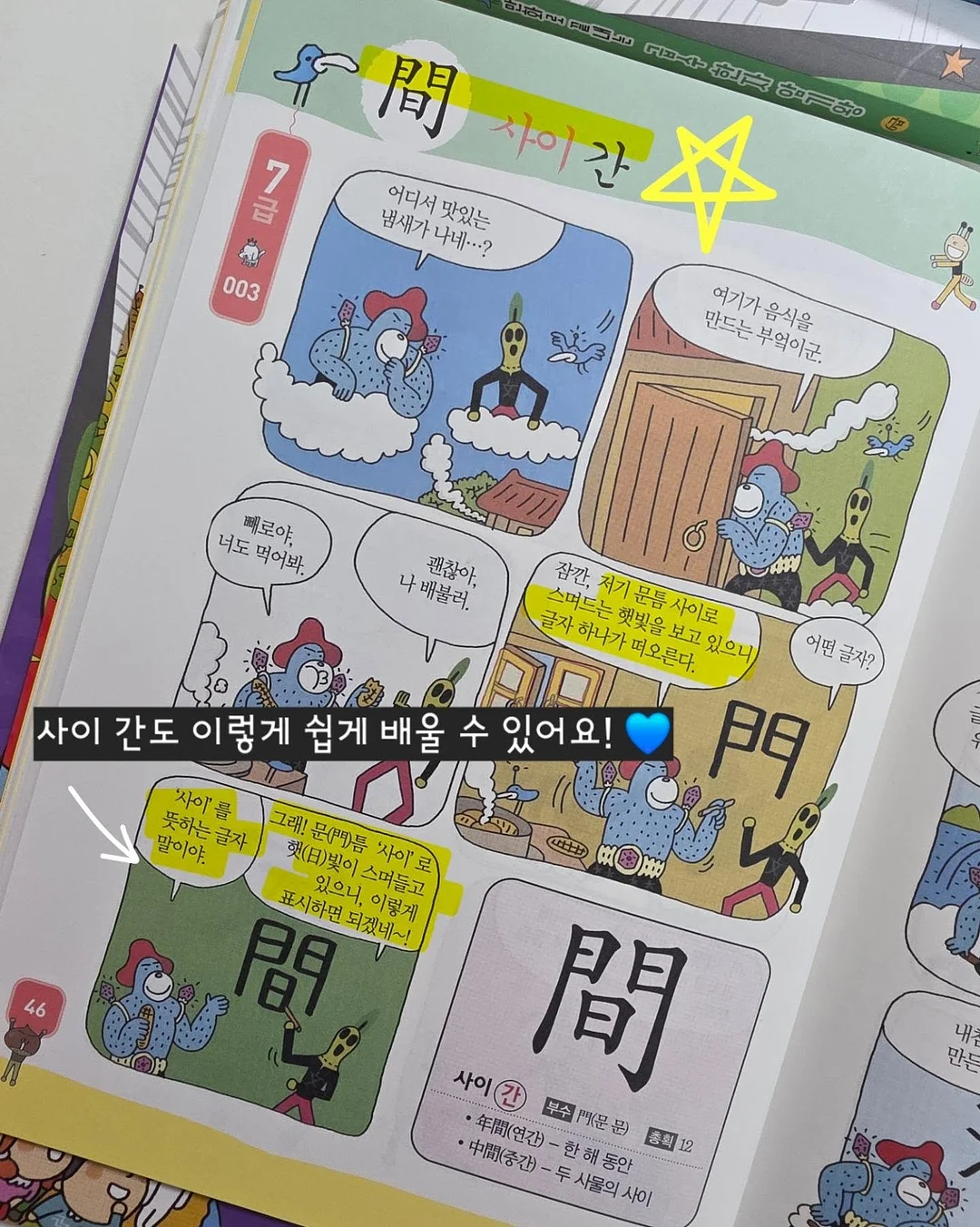 고운 임시보호/입양 8