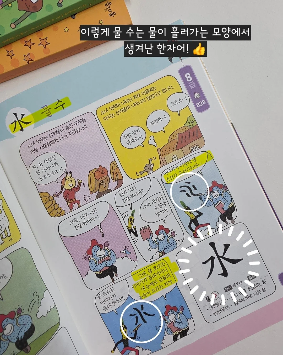 고운 임시보호/입양 9