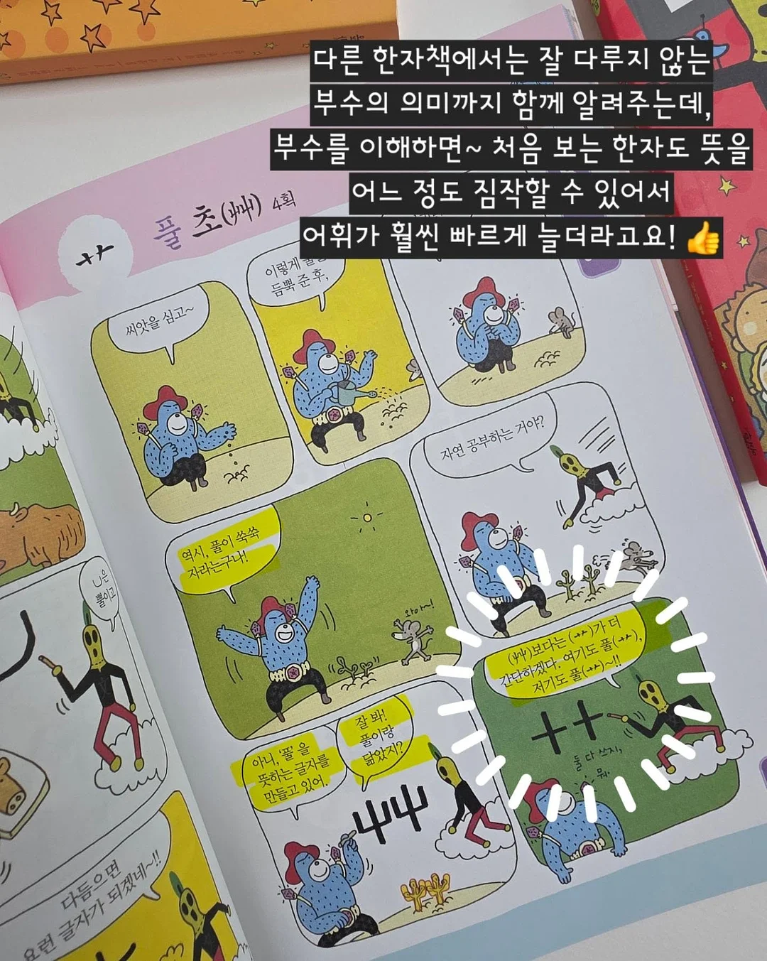 고운 임시보호/입양 10