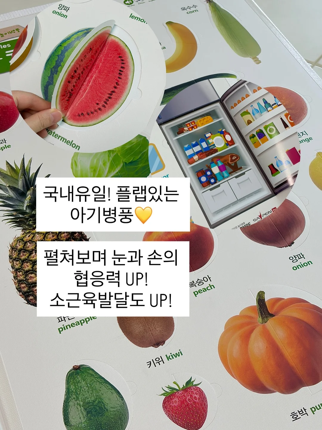 리코타세트 4