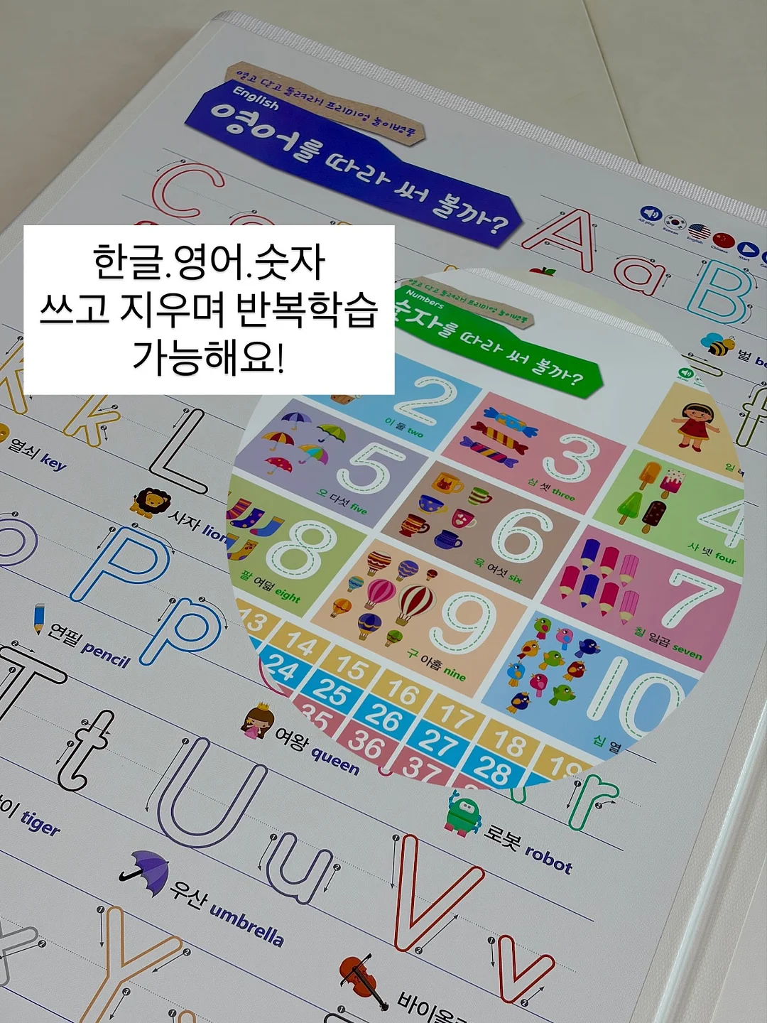 리코타세트 5