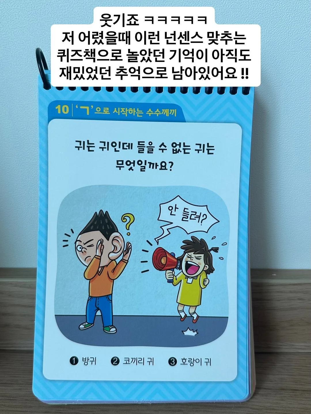 아떼 파니에 썸머 메쉬백 3