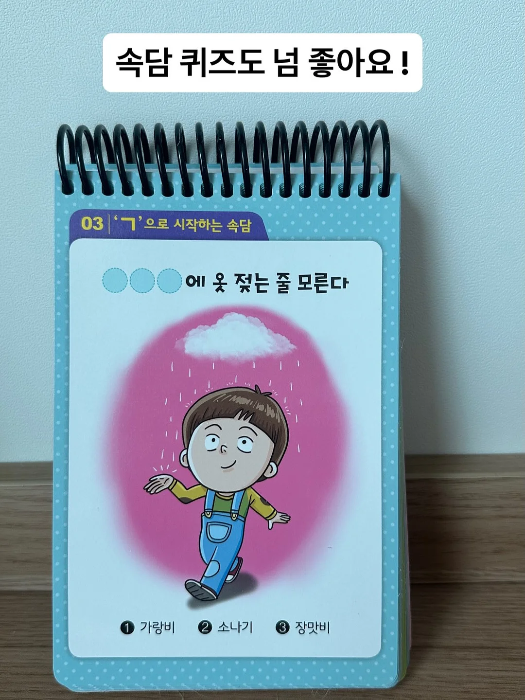 아떼 파니에 썸머 메쉬백 6