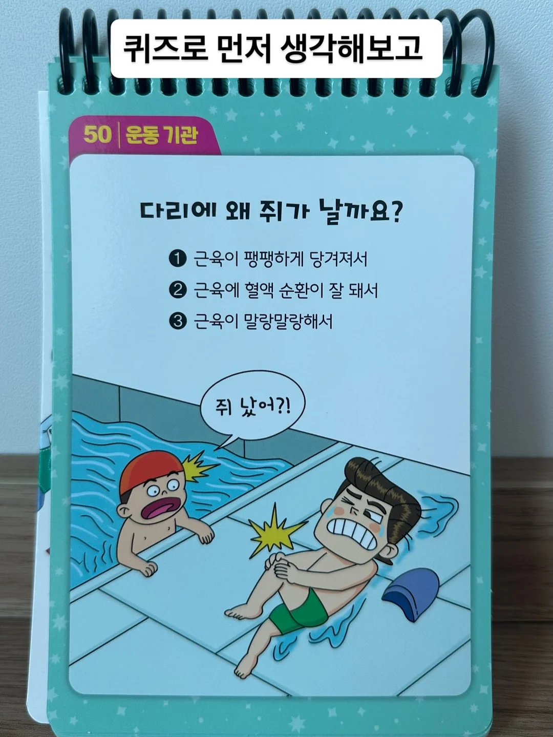 아떼 파니에 썸머 메쉬백 8