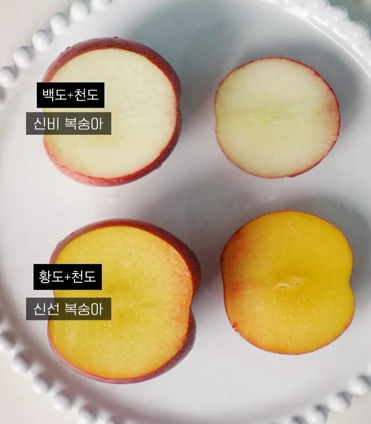 행사 상품 6