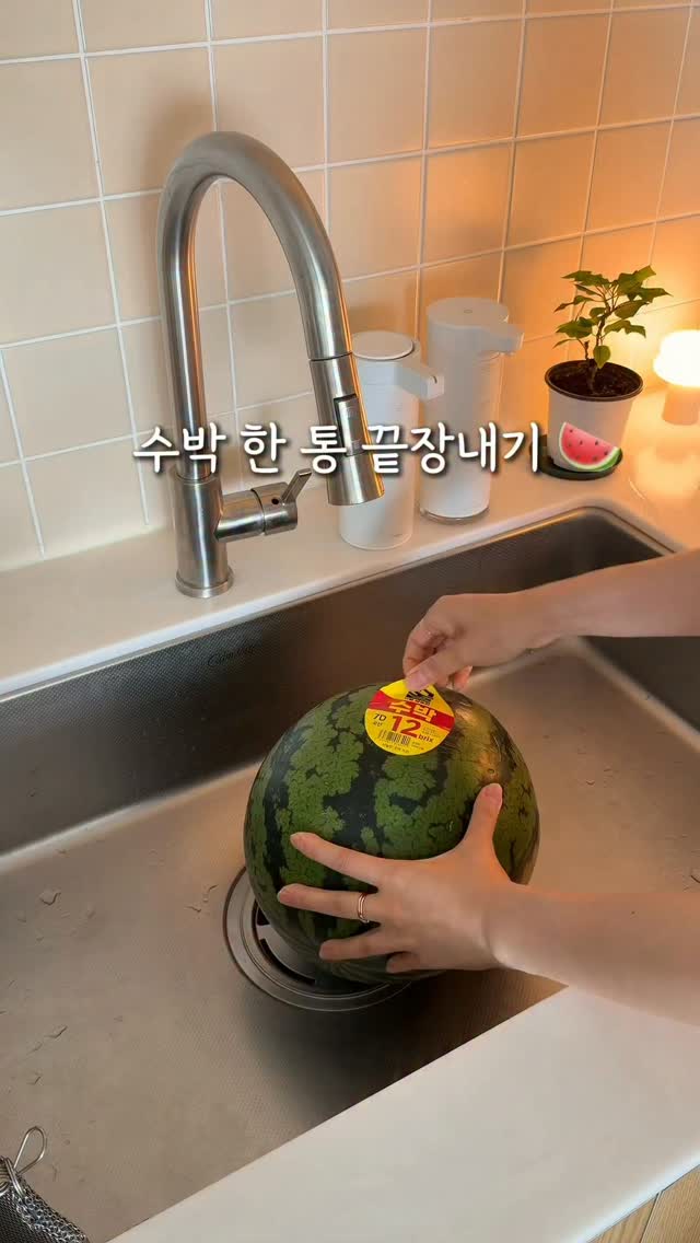 박명수 떡