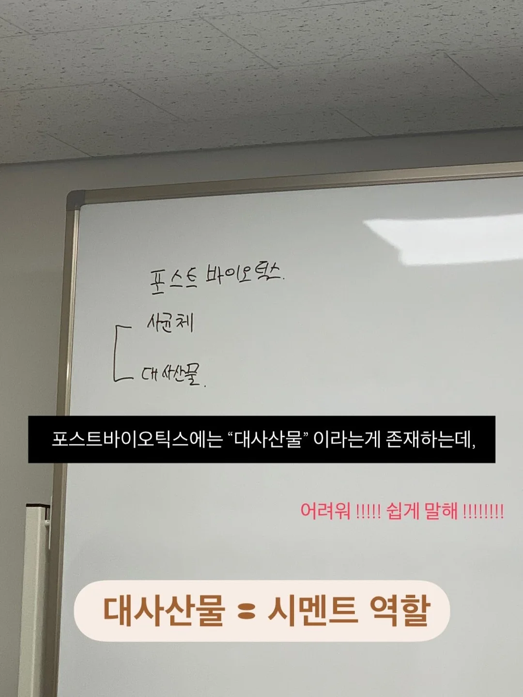 줄기세포 병원 15