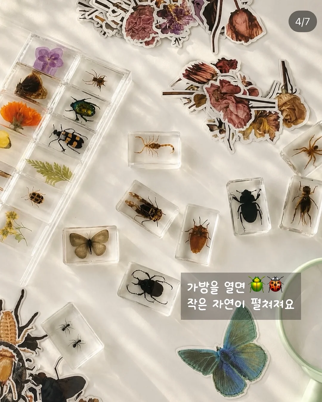 팸퍼스 프리미엄 여름 기저귀 신제품 2026 터치 오브 네이처 썸머팬티 2