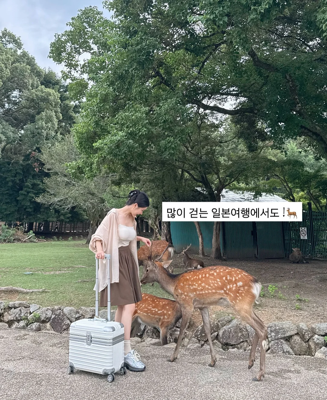 A라인 청반바지 12