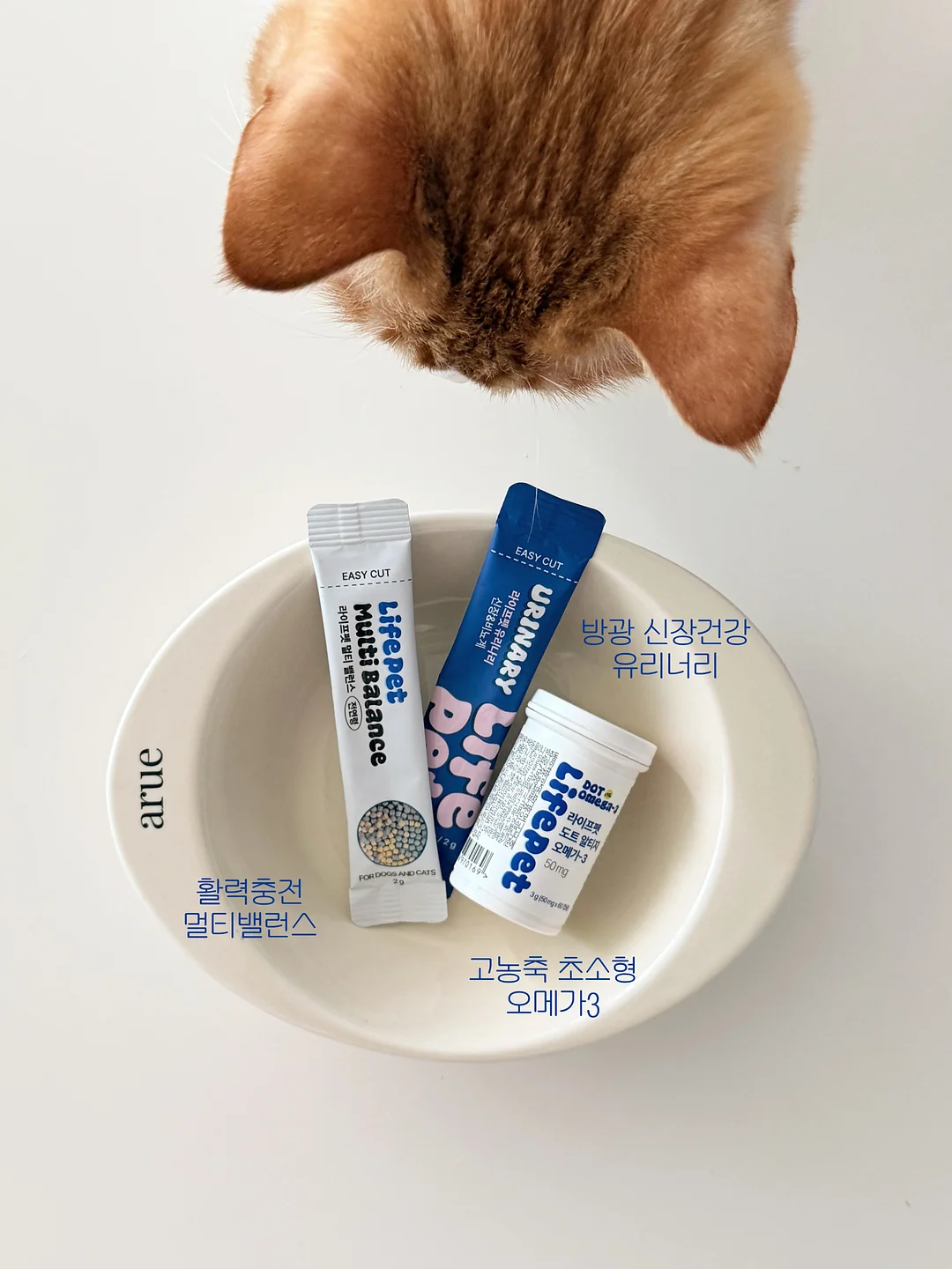 젤리핑 해파리 키링 1