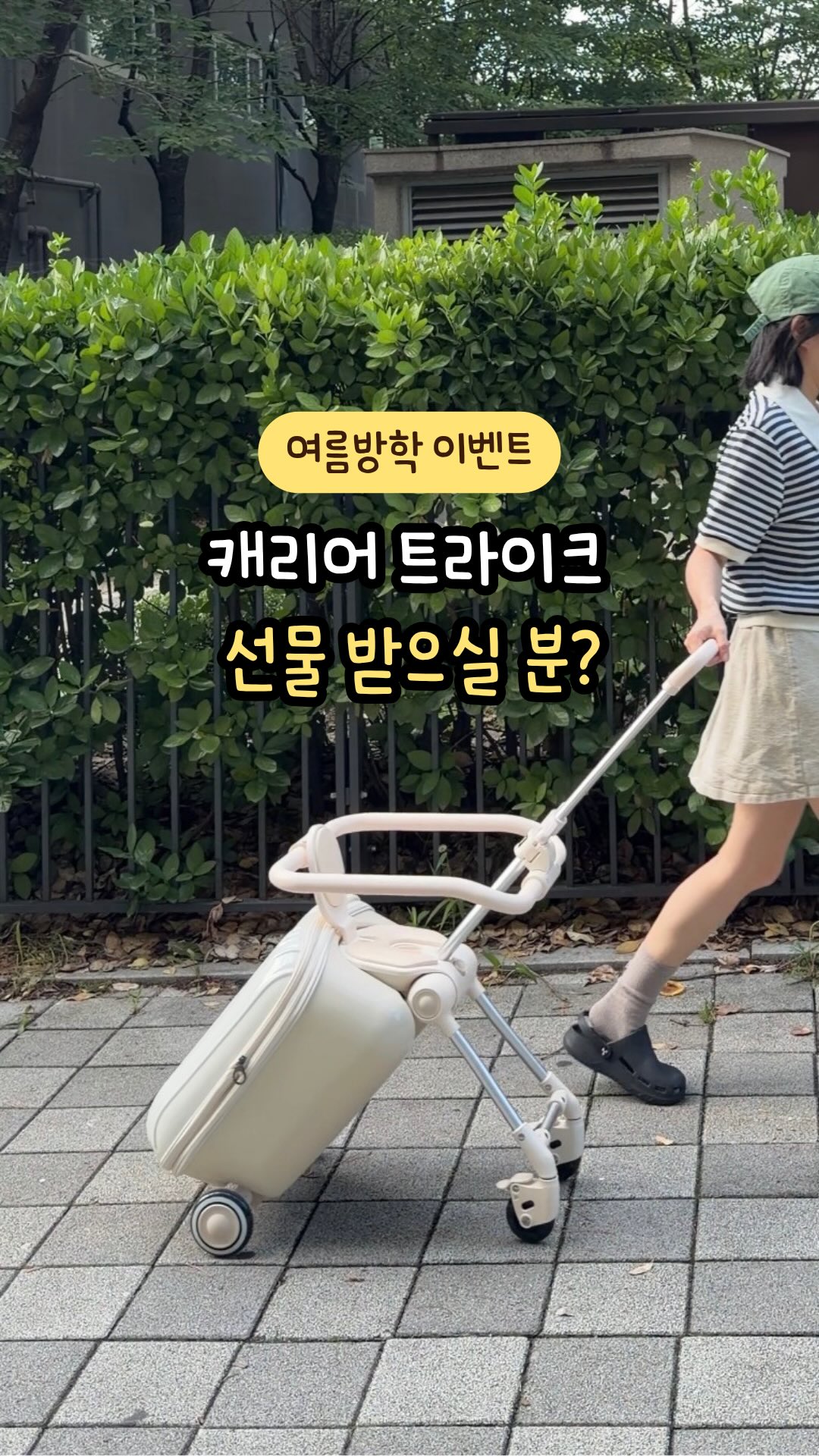 초코 오징어