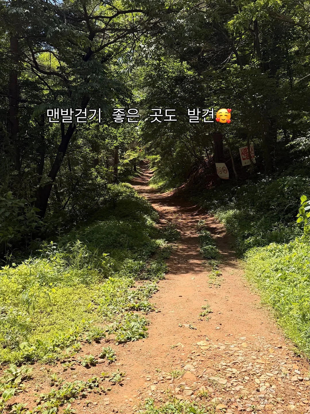 여름 셔츠형 아우터 14
