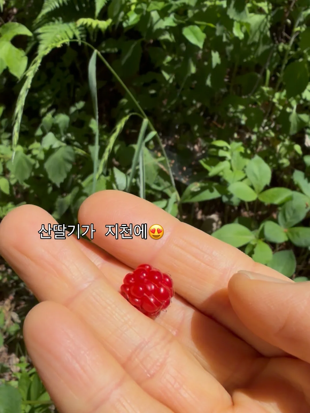 여름 셔츠형 아우터 9