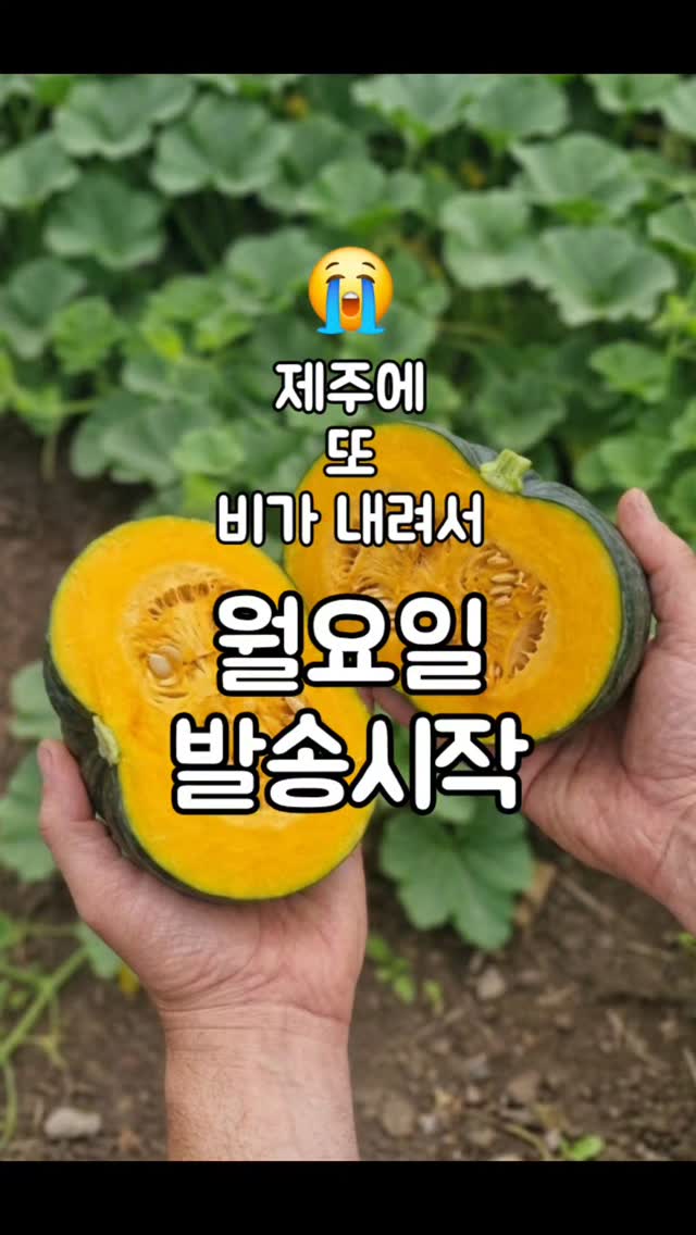 이승우 작가의 이 책