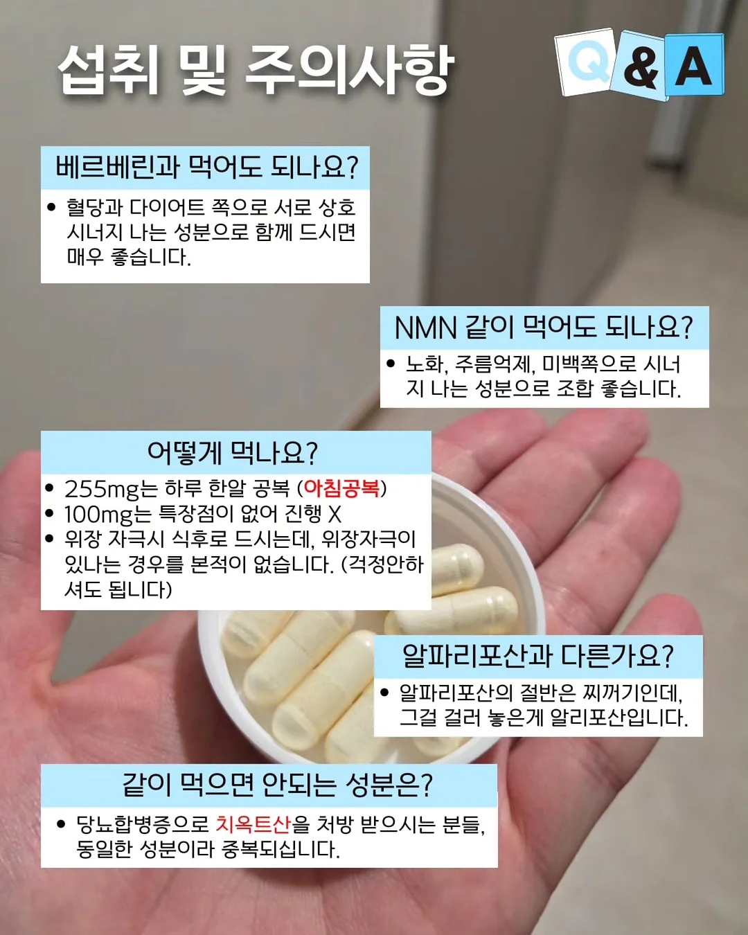 Lee 밀리터리 카고 반바지 5