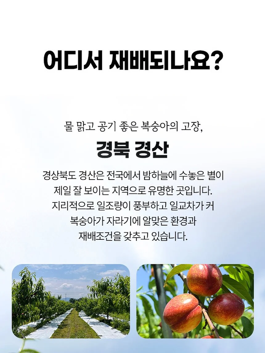 감자탕 18