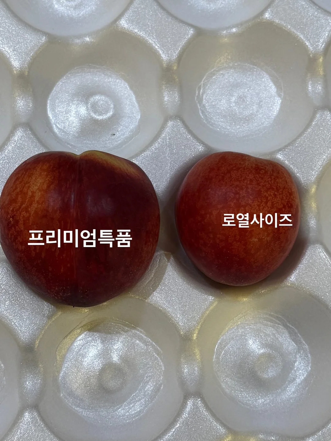 감자탕 7