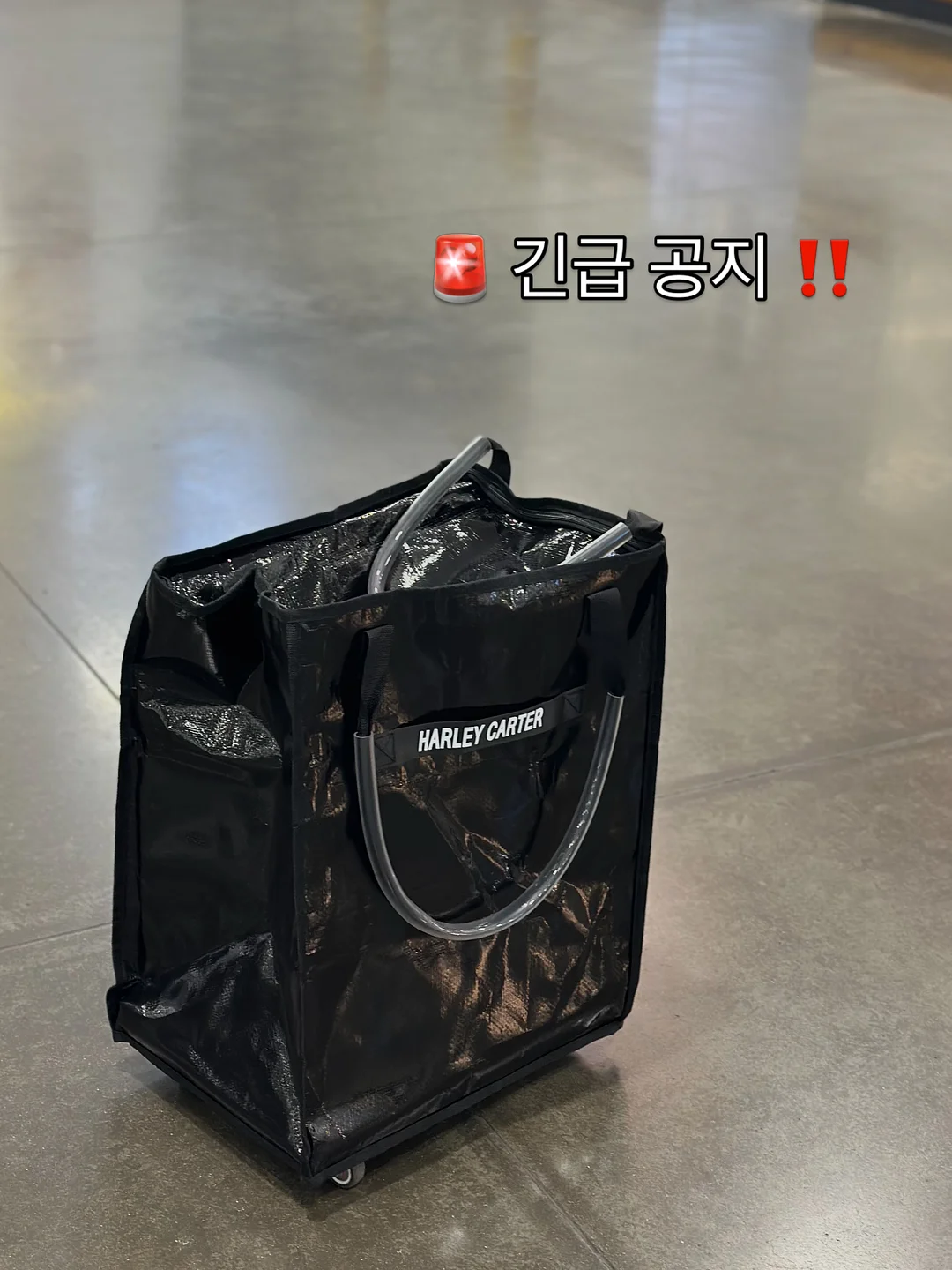 전자동우산