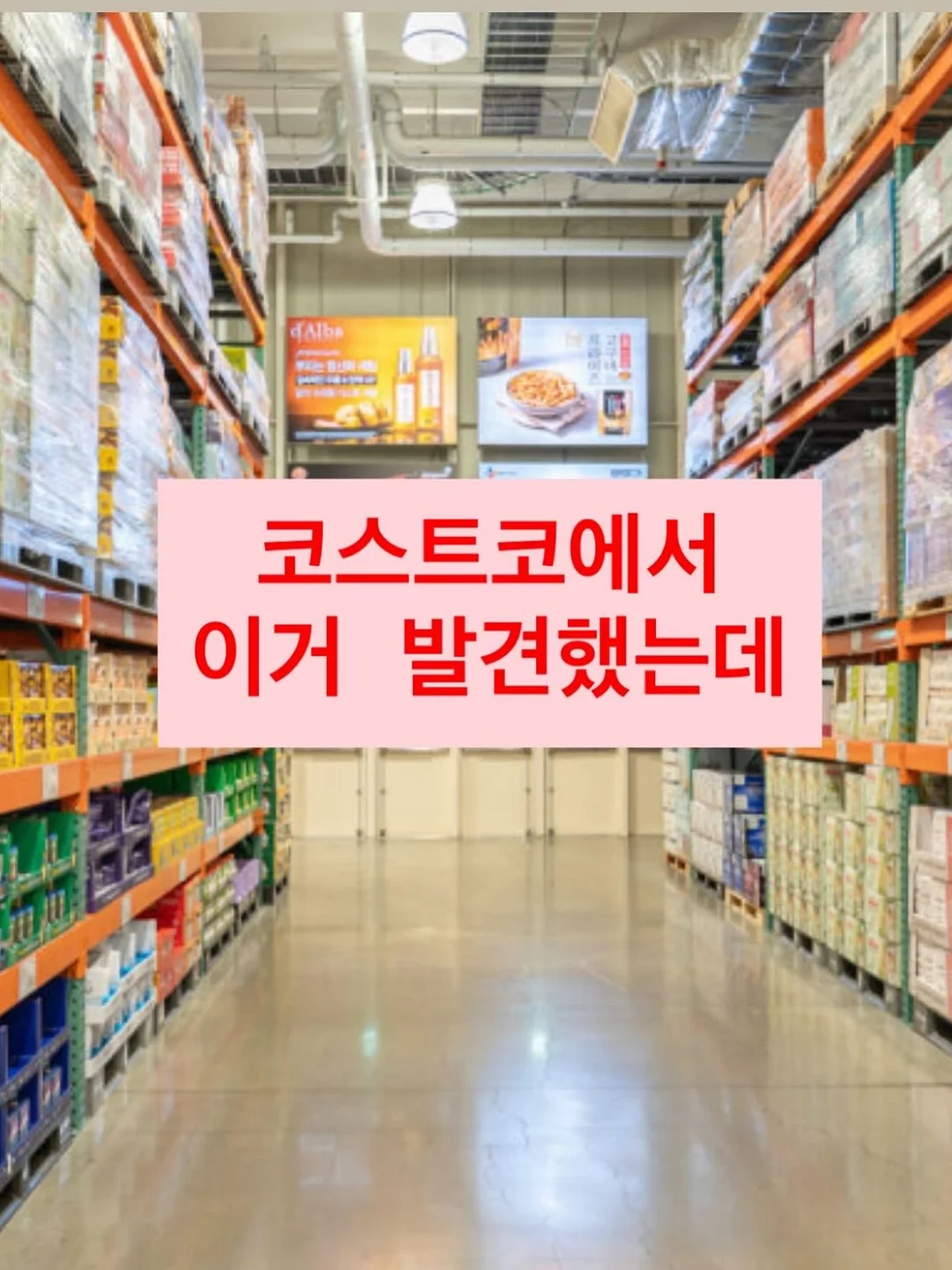 단추티 1