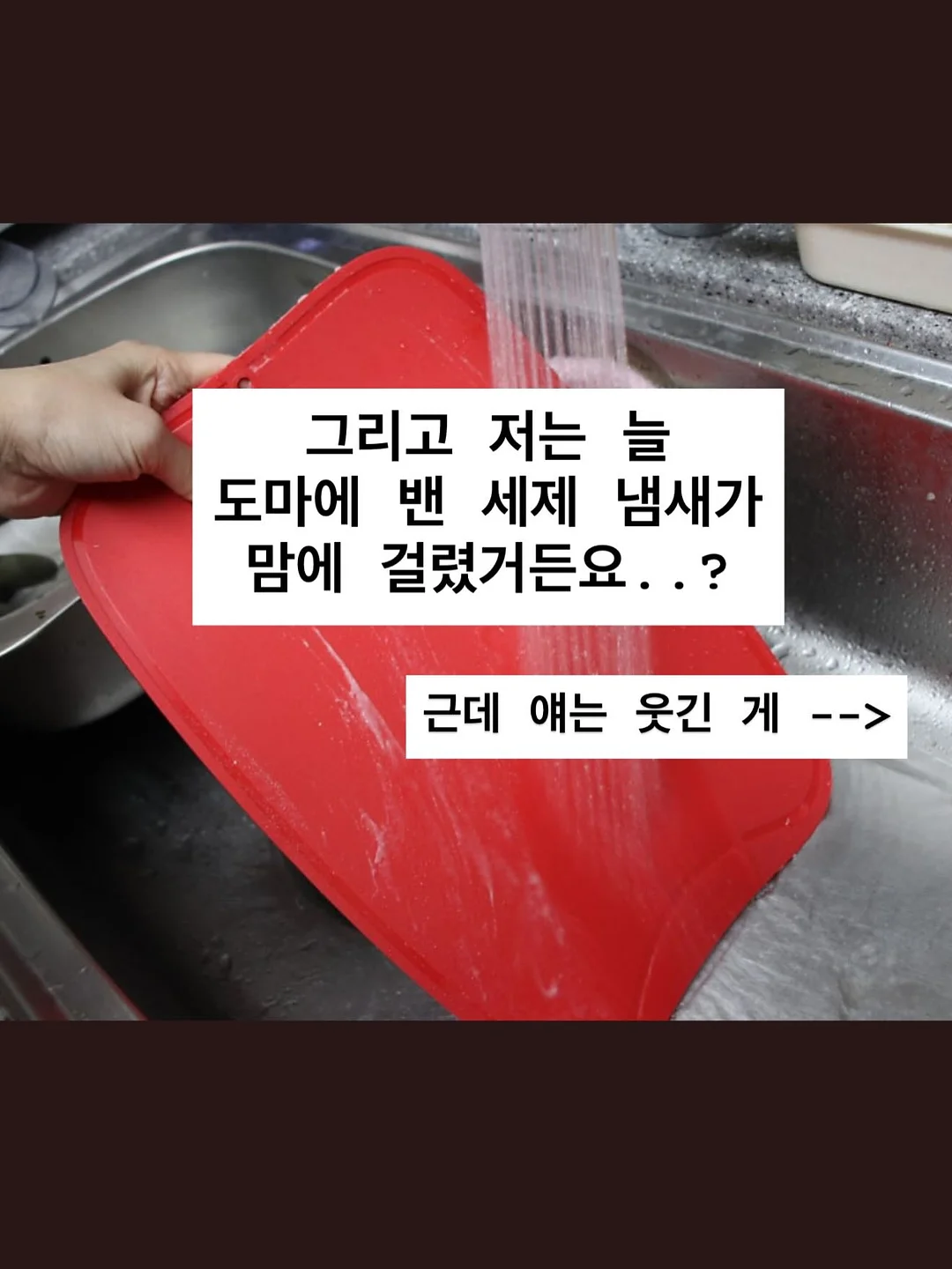 단추티 12