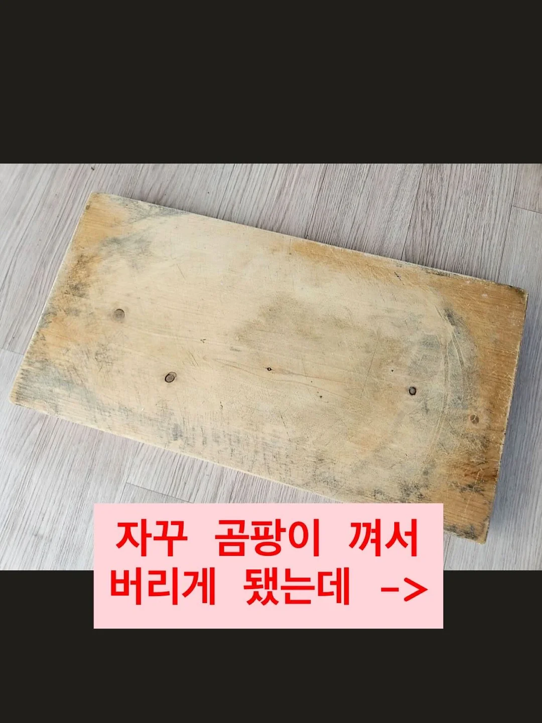 단추티 6
